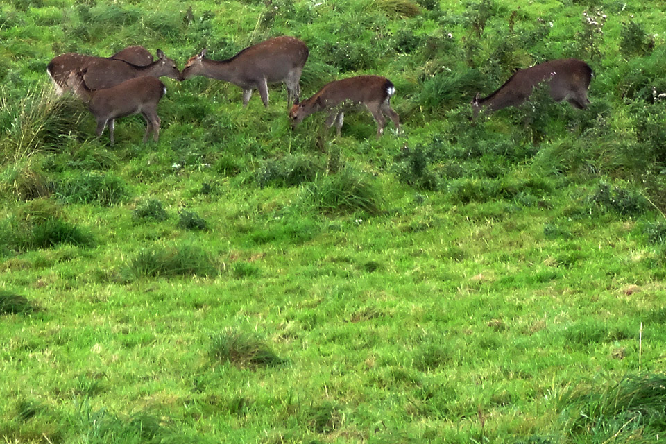 Killarney National Park